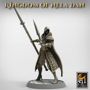 Elf Soldier - Kingdom of Nela Dan - High Detail Miniature - Resin 3D Printed Miniature-Dungeons and Dragons - D&D - Lord of the Print