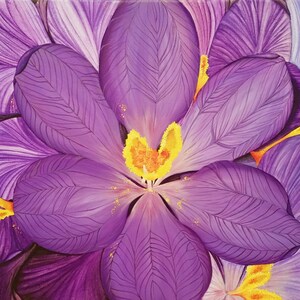 Purple Flower