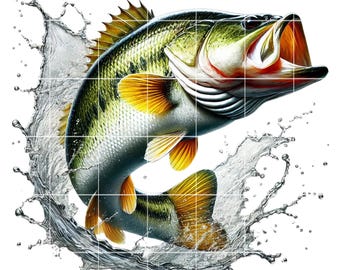 Bass Fish PNG Clipart | 10 Image Bundle