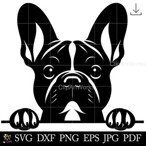 Französische Bulldogge Clipart