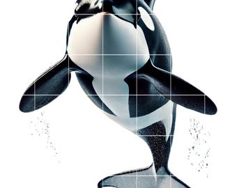 Orca Clipart PNG | Pakiet 10 obrazów