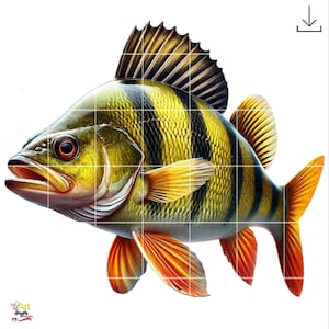 以下が含まれることがあります： オレンジ色のヒレを持つ、黄色と黒の縞模様の魚の細密画。魚は大きく開いた口と目立つ背びれを持っている。