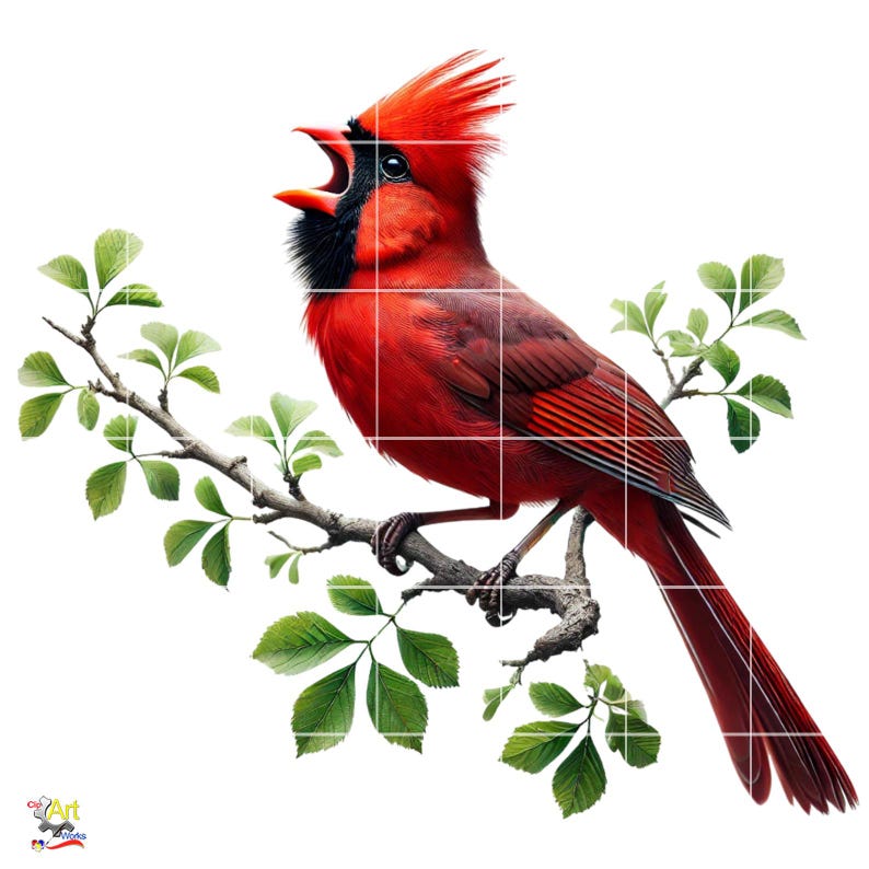 Cardinal Bird PNG | 10 Bundle Images - Etsy