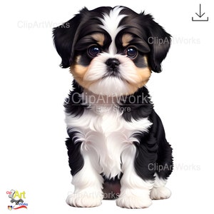 Shih tzu Cipart PNG