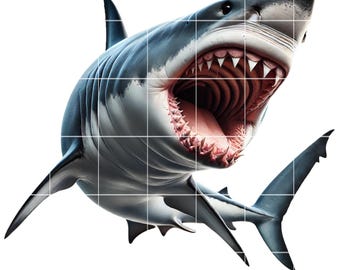 Shark Clipart PNG | 10 Image Bundle