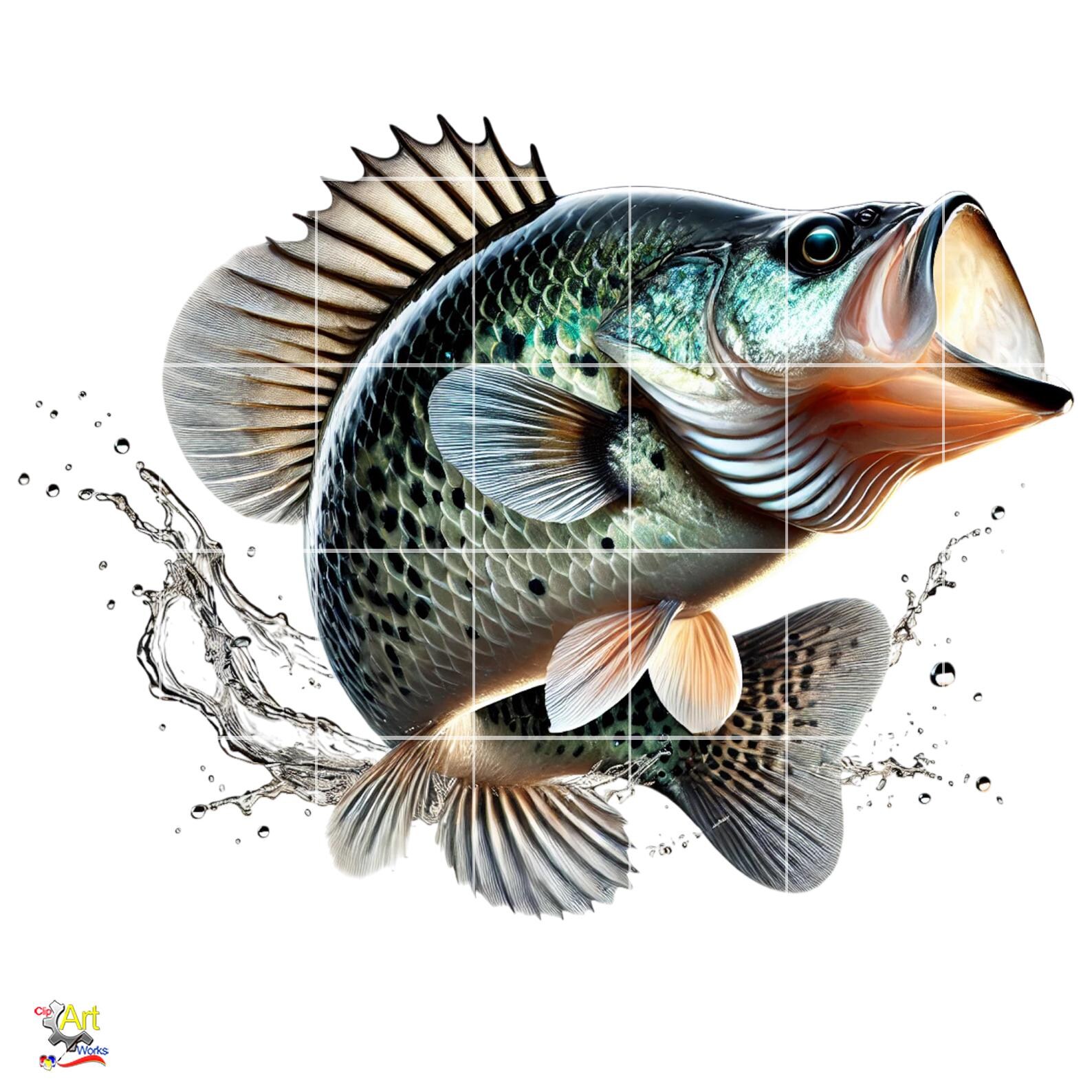 Crappie Fish Graphics Crappie Fish PNG Clipart | 10 Image Bundle - Etsy