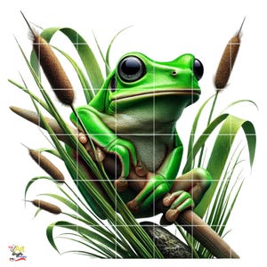 Frog Clipart PNG | 10 Image Bundle