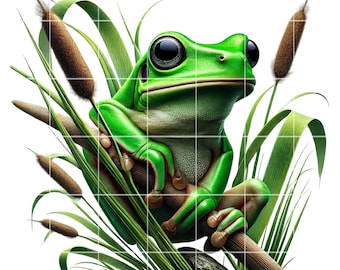 Kikker clipart png | Bundel met 10 afbeeldingen