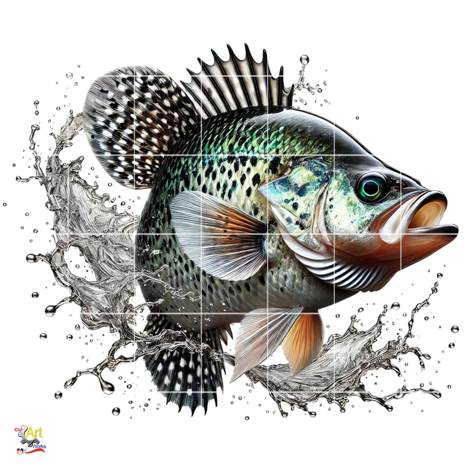 Crappie Fish Graphics Crappie Fish PNG Clipart | 10 Image Bundle - Etsy