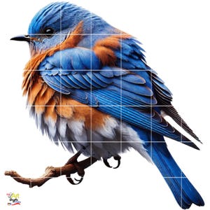 Bluebird Clipart PNG | 12 Bundle Images
