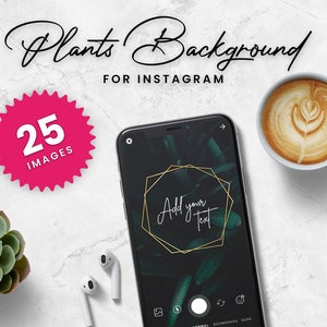 25 Hintergrundbilder für Instagram Stories - Edition Pflanzen | Insta, Blumen, Pflanzen, Background, Bilder, Design, Quote, Zitate