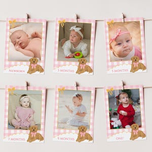 May include: Six rectangular milestone cards with a pink and white gingham border, gold ribbon accents, and illustrations of a golden retriever puppy. Each card features a baby photograph and text labels: Newborn, 3 Months, 5 Months, 7 Months, 9 Months, and One!