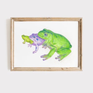 Frog, Reptiles, Art Painting, Color Pencil, Healing Art, Small Size Wall Art, Downloadable Prints, Art Digital Download, Caricature