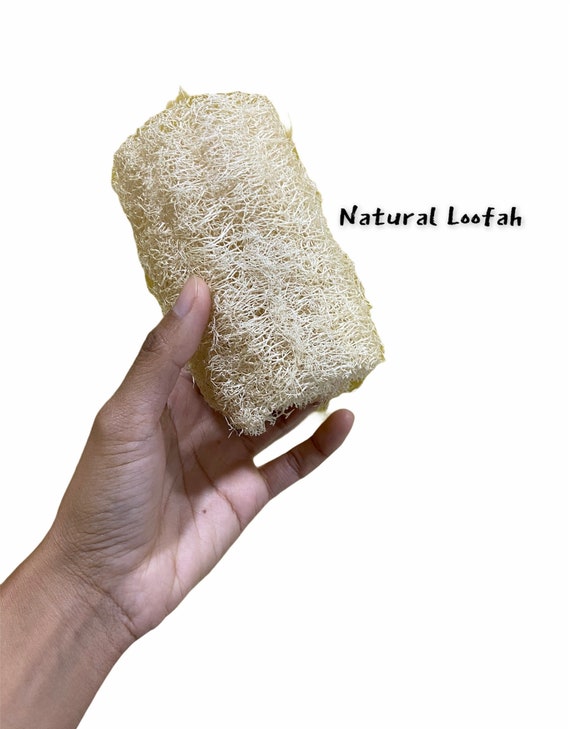 Natural Loofah set of 4 Etsy