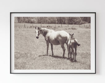 Horse Art Print, Horse Wall Art, Horse Photography, Home Decor, Mother Horse and Foal, Printable Wall Art, Nature Horse Print