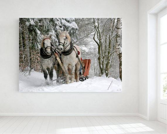 3D Horse Sleigh 263 Wall Murals