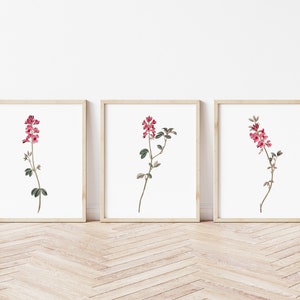Pink Floral Art Prints, Wall Art Set of 3, Giclee Prints, Home Decor, Pink Botanical Wall Art