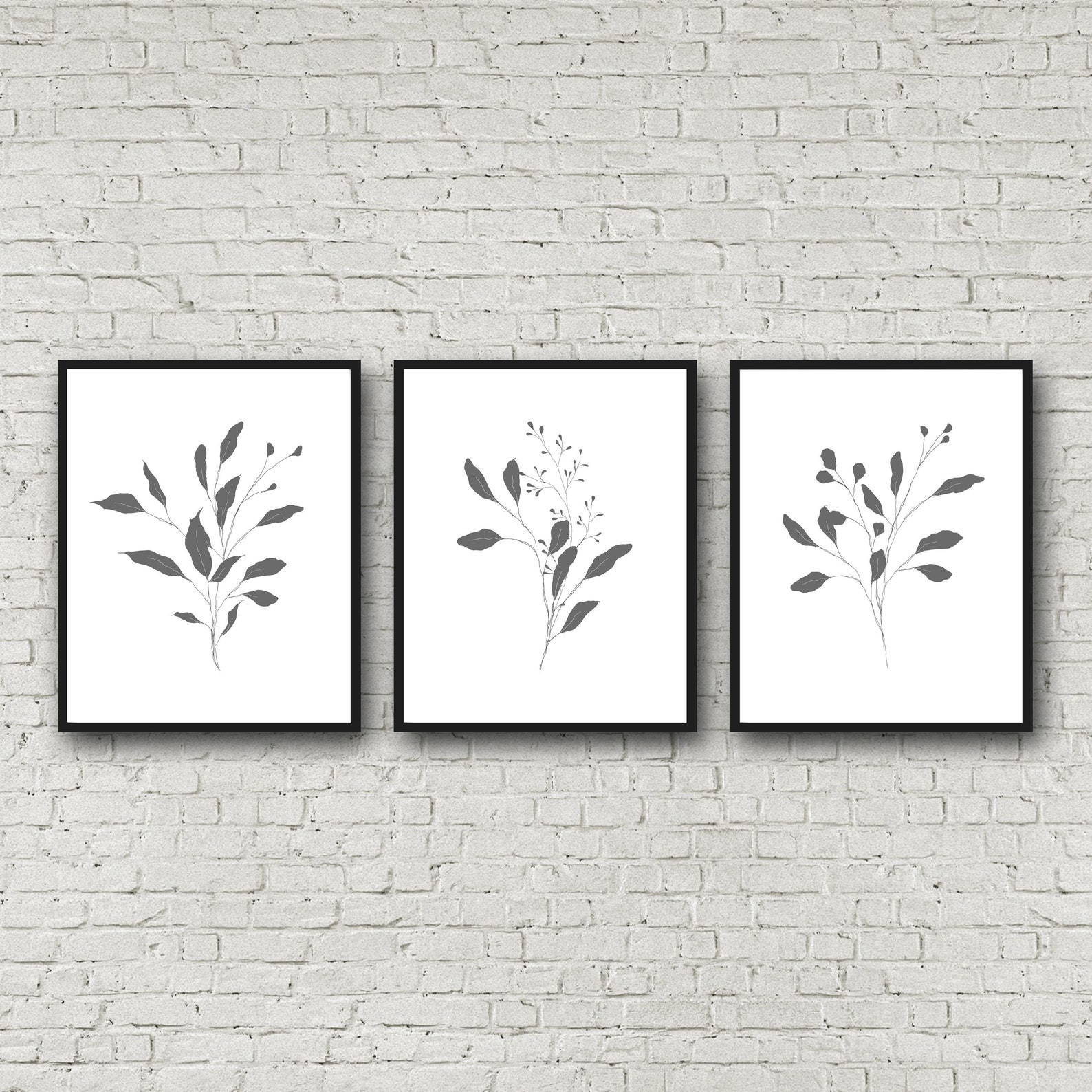 Black & White Botanical Wall Art, Botanical Art Prints Set of 3