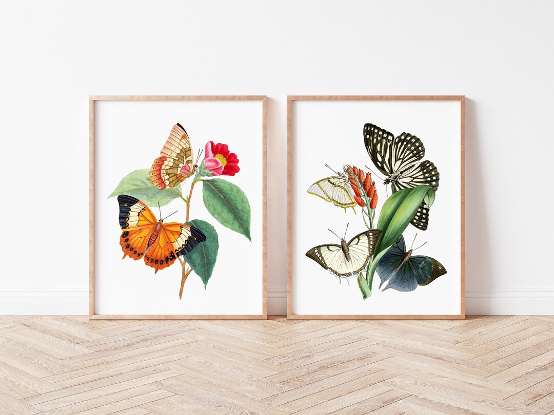 Vintage Butterfly Wall Art, Butterfly Art Prints, Vintage Art Prints