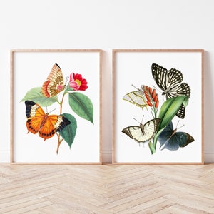 Vintage Butterfly Wall Art, Butterfly Art Prints, Vintage Art Prints, Home Decor, Printable Wall Art, Wall Decor, Instant Download