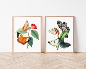 Vintage Butterfly Wall Art, Butterfly Art Prints, Vintage Art Prints, Home Decor, Printable Wall Art, Wall Decor, Instant Download