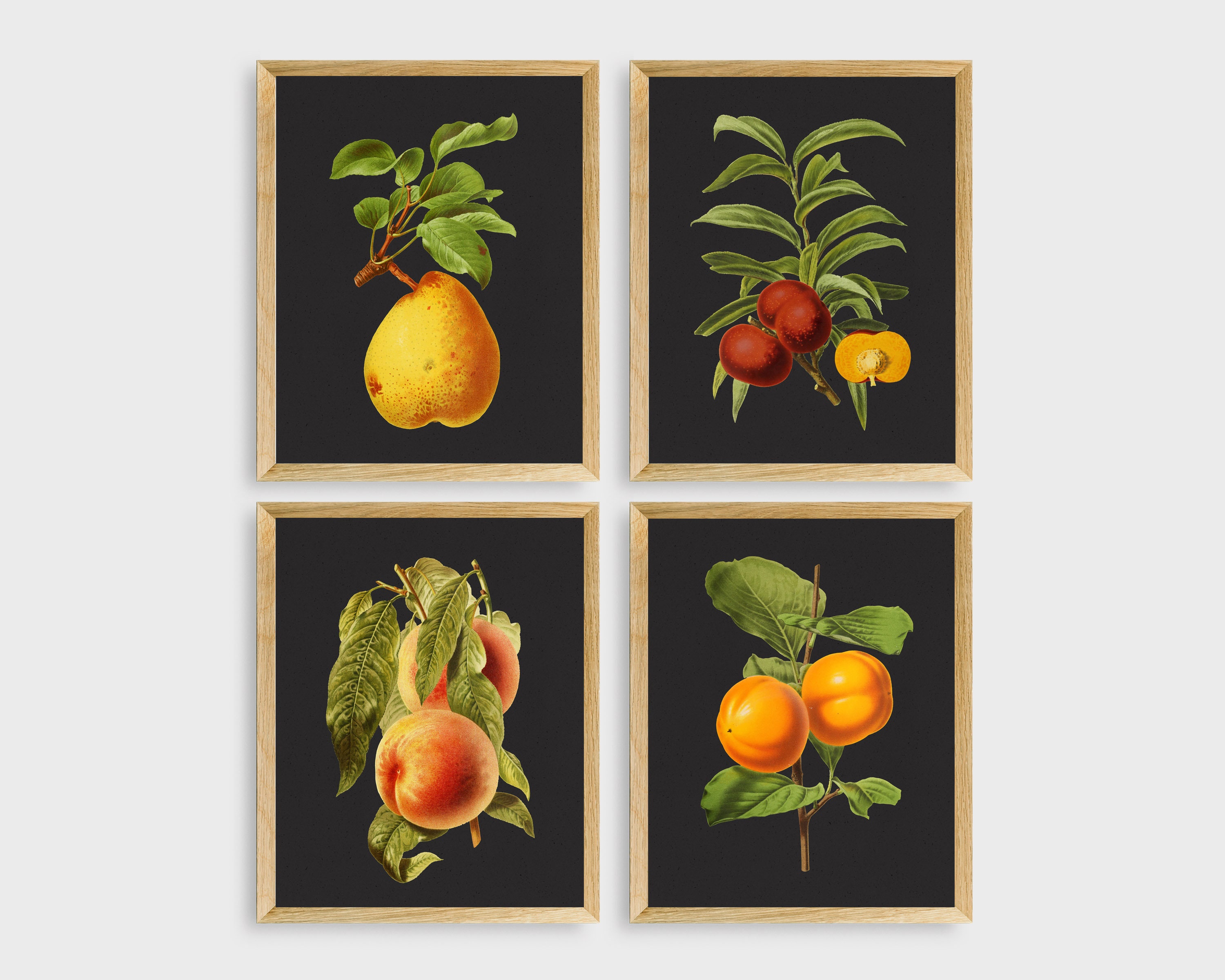 Vintage Fruit Art Prints Set of 4 Fruit Prints Home Decor Etsy