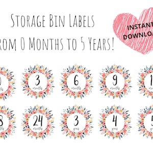 Baby Girl Clothing Bin Labels - Printable Labels for Storage Totes - 0 ...