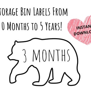 Boys clothing storage bin labels, Nursery Wildlife, 0 months to 5 years, instant download, printable, Unisex labels, nursery organization