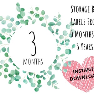 Unisex clothing storage bin labels, leaves wreath, 0 months to 5 years, instant download, printable, baby storage, nursery organization