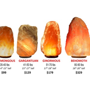 May include: Four Himalayan salt lamps of varying sizes, from smallest to largest: Humongous (35-40 lbs, 14-15" tall), Gargantuan (41-50 lbs, 15-17" tall), Ginormous (51-70 lbs, 17-18" tall), and Behemoth (80-90 lbs, 18-20" tall).