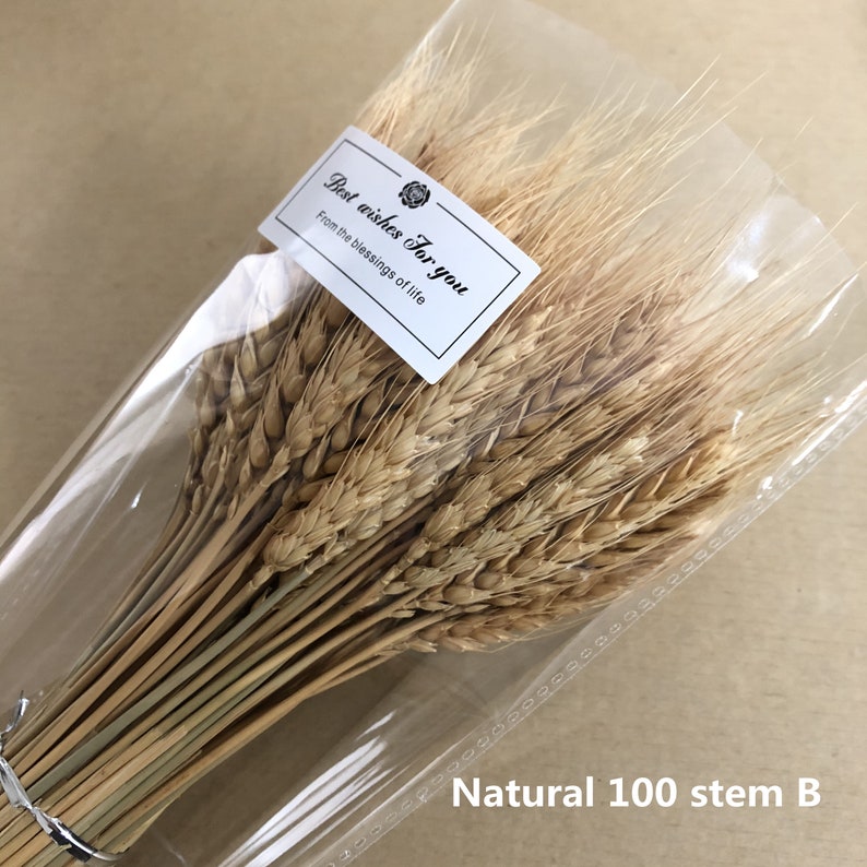 a bunch of dried flowers 100 stems of natural wheat flower arrangement