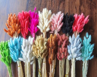 30x Colorful Rabbit Tail Grass Lagurus OVATUS BUNNY Dried Bouquets Flowers G8E6 