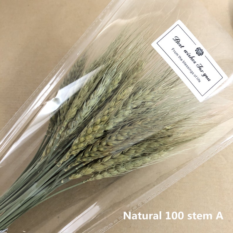 a bunch of dried flowers 100 stems of natural wheat flower arrangement