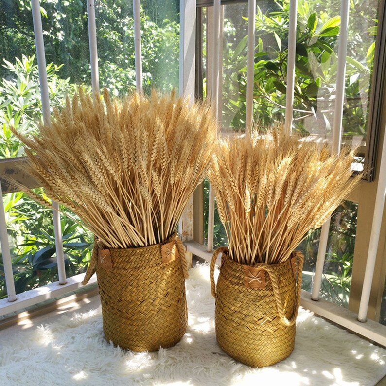 a bunch of dried flowers 100 stems of natural wheat flower arrangement