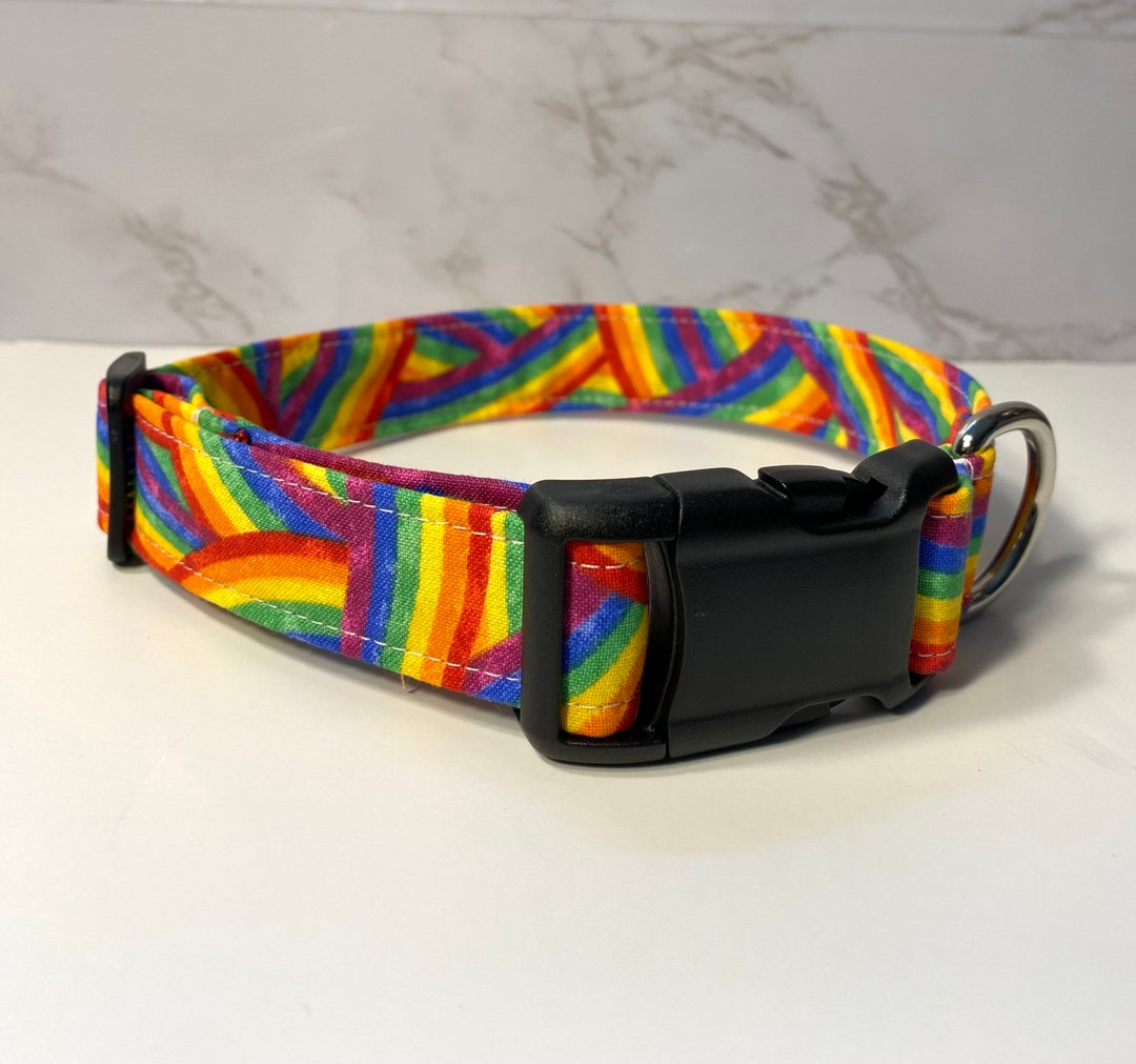 Rainbow Swirl Dog Collar Pride Dog Collar Rainbow Dog Etsy