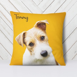 custom-printed pillow with a picture of a pet on a custom-colored background