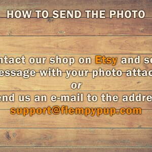 photo can be sent to the mail address support@flempypup.com.