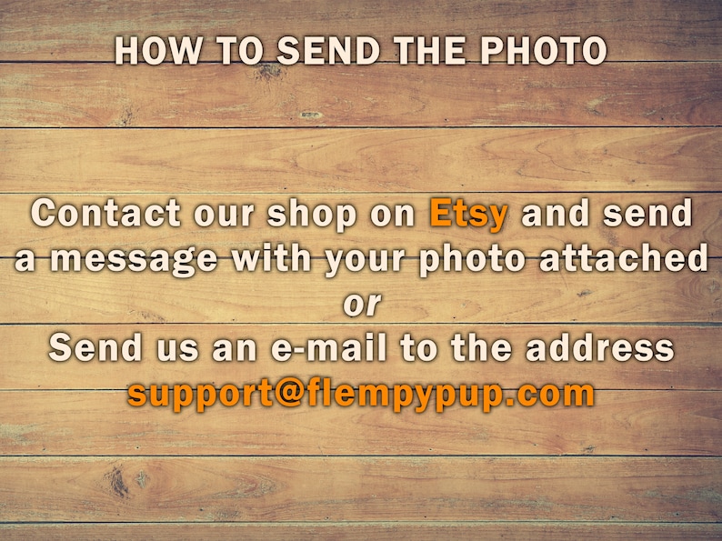 photo can be sent to the mail address support@flempypup.com.