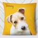 Custom Pet  Pillow with photo of your pet on custom color background. Professional photo editing included. Pillow Case option available 