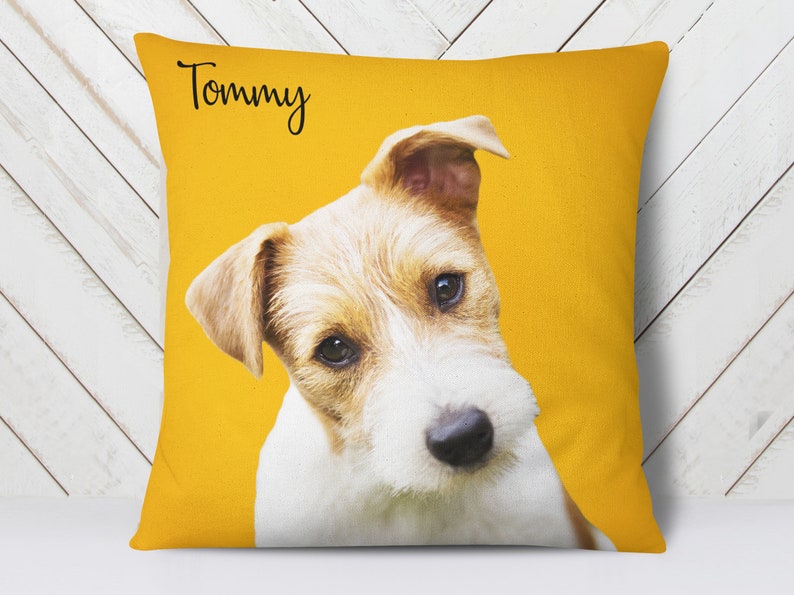 Custom Pet  Pillow with photo of your pet on custom color background. Professional photo editing included. Pillow Case option available 