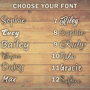 many fonts can be chosen for the name