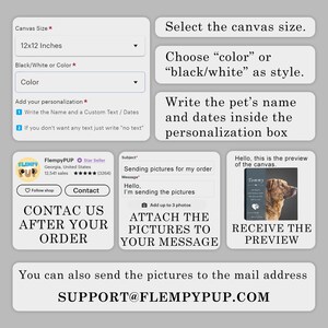 Send the pictures to the mail address support@flempypup.com