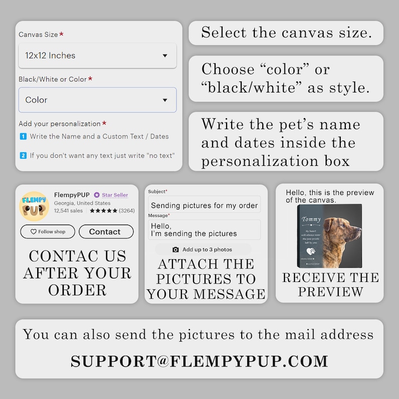 Send the pictures to the mail address support@flempypup.com