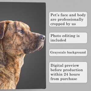 picture of the pet will be professionally edited and cropped from the background.