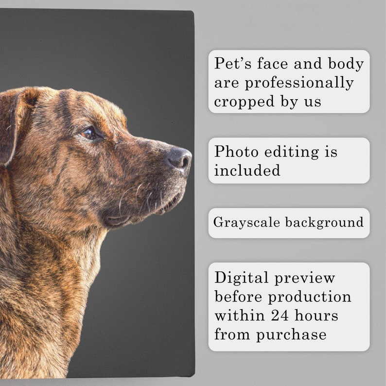 picture of the pet will be professionally edited and cropped from the background.