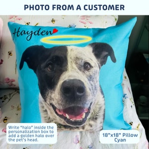Custom Pet Pillow with photo of your pet on custom color background. Professional photo editing included. Pillow Case option available image 3