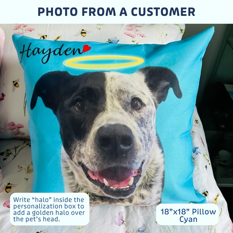 Custom Pet Pillow with photo of your pet on custom color background. Professional photo editing included. Pillow Case option available image 3