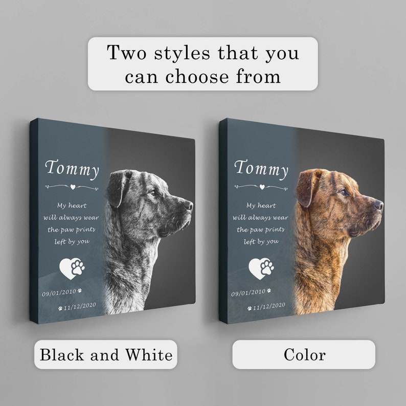 choose the black-and-white effect or leave the color.