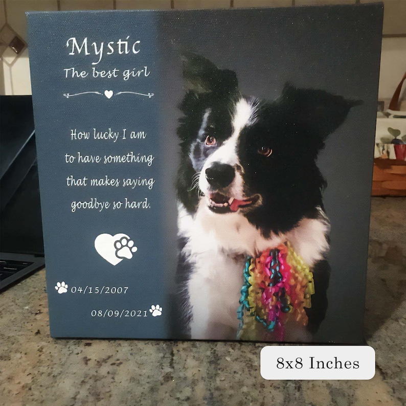 photo from a customer