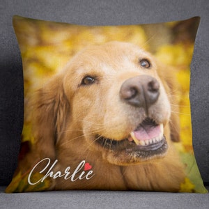 Custom Pet Photo Pillow With Photo Collage Of Your Pet. Professional Photo Editing Included. Pillow Case Option Available. Dog Owner Gifts